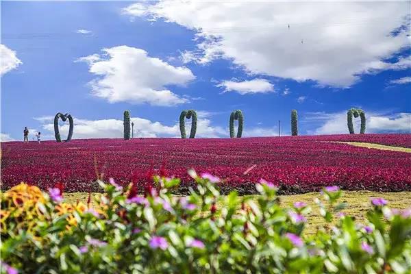 丹麦童话小镇,欢乐伊甸园,青少年游乐体验中心,四季花海,十二花仙岛等