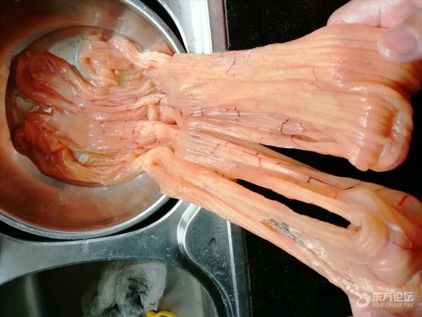 随即发到几个朋友群里,而朋友们猜什么的都有:鹅肠,肠衣,动物胎盘,鞭