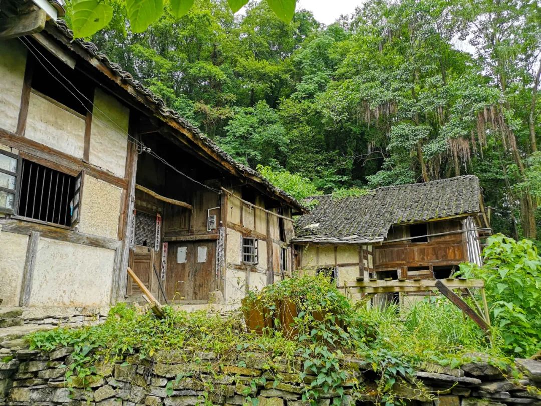 贵州大山藏着个村庄因建水库而荒废三个僧人变其为世外桃源