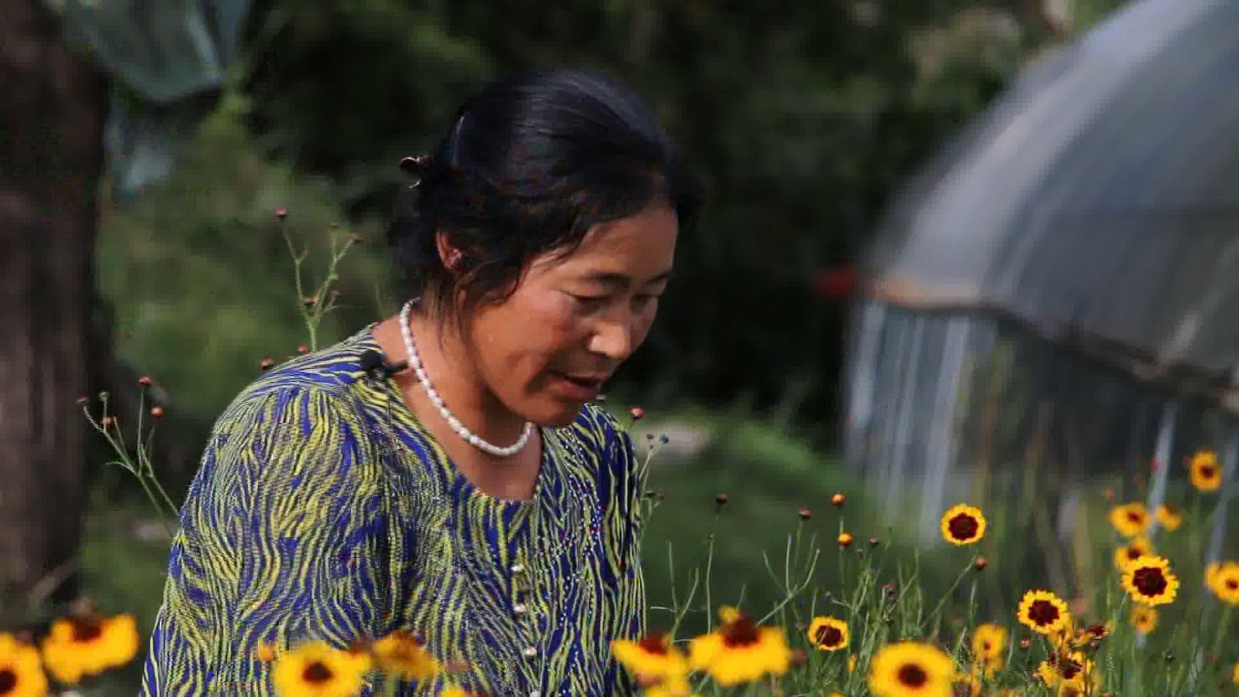 巴塘县党巴乡党巴村民贫困户格绒志玛脱贫记