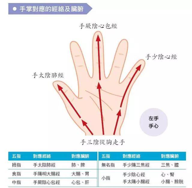 手三阳经脉循行图片