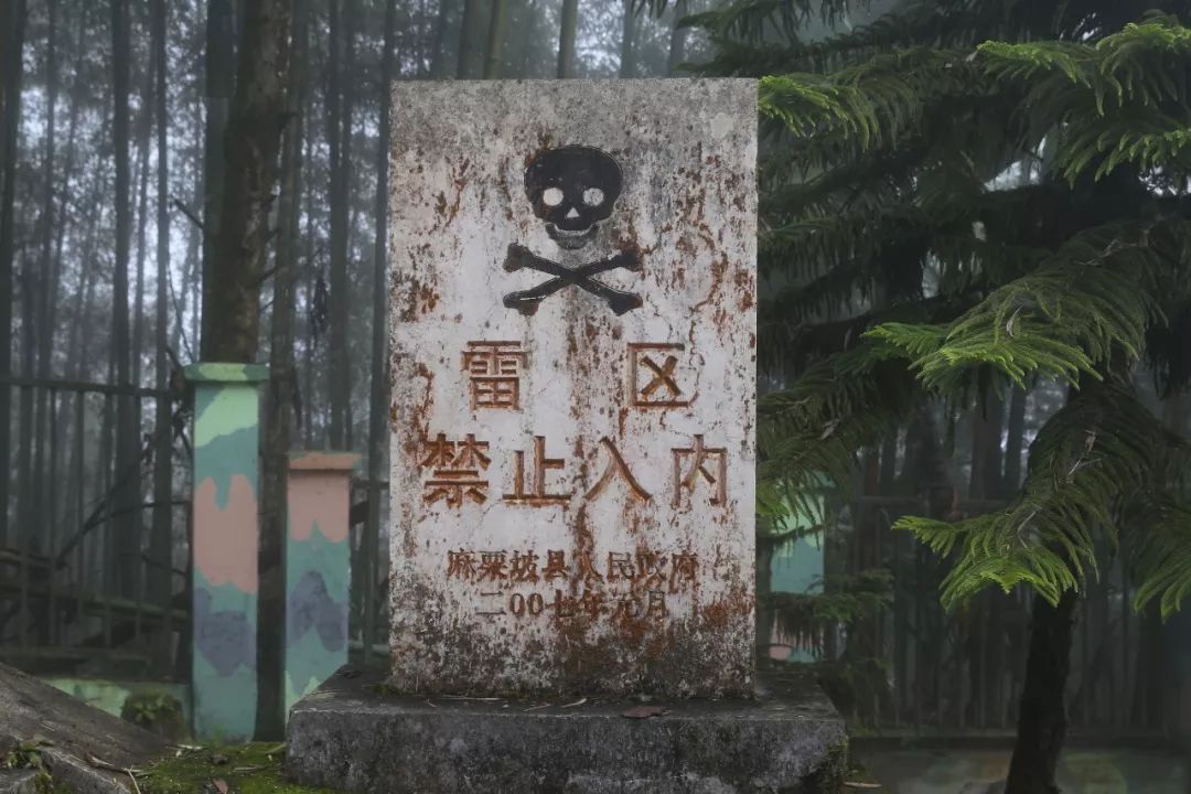 原创中国最危险的村庄村里87个人仅剩78条腿遗留地雷超百万枚