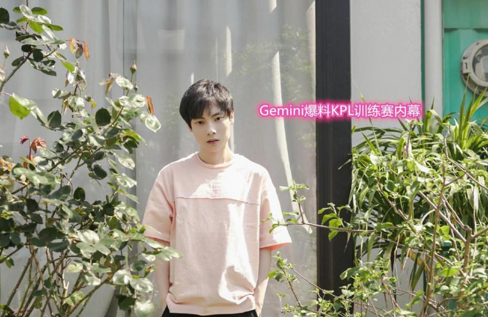 gemini透露kpl训练赛内幕:二队冒充一队打!难怪edgm训练赛无敌