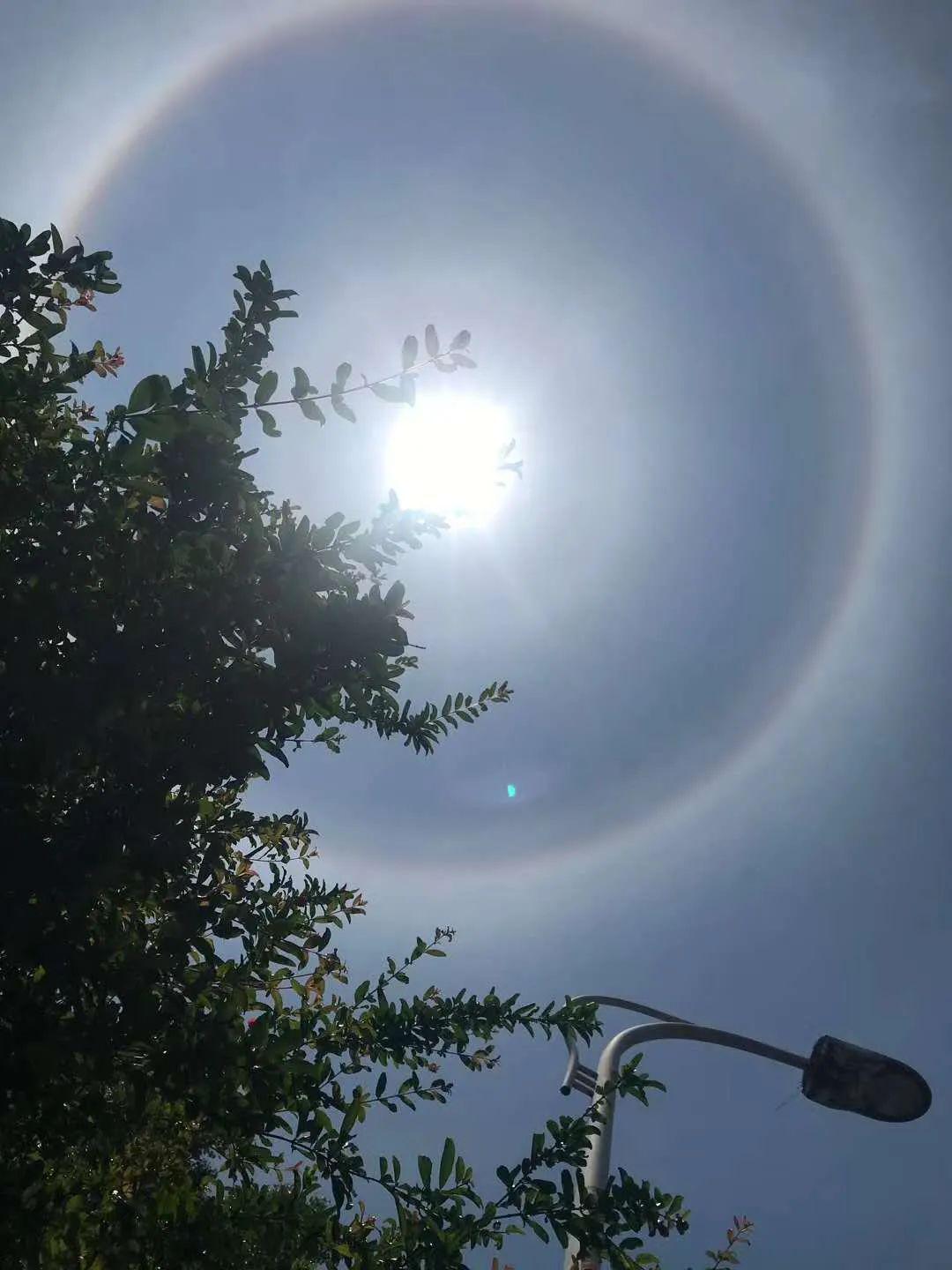 安远惊现日晕刷遍盆友圈