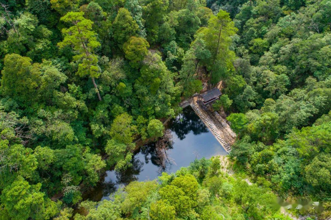五一假期,小编带你游庆元!_月山