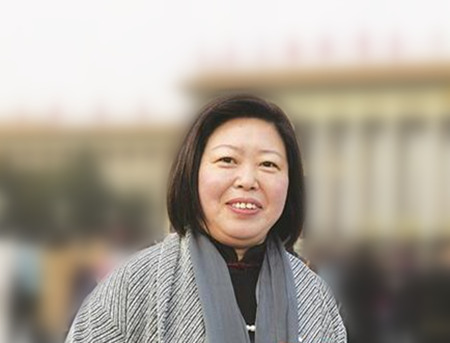 代表最关注王瑞霞强化公益诉讼保护古墓葬安全