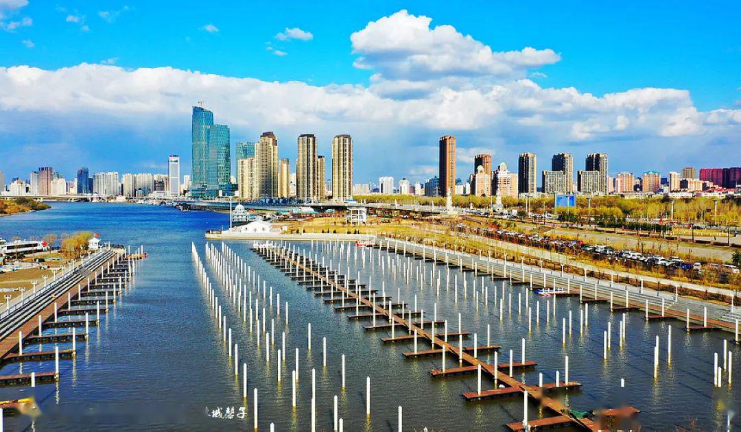 走进哈尔滨外滩湿地的春日