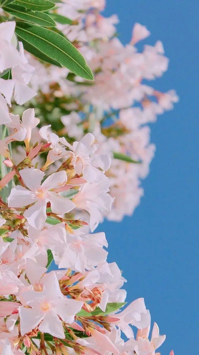 潮流壁纸20200428