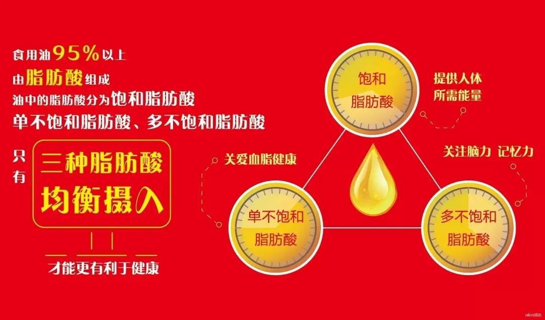 警惕"隐性饥饿",你真的吃对油了吗?_脂肪酸