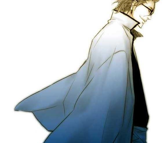 死神:蓝大是真正的王族,王族是虚与死神的共同领导者!_市丸银