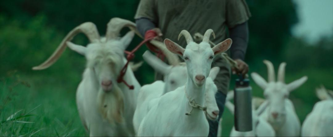 年度神作误杀的主角其实不是人