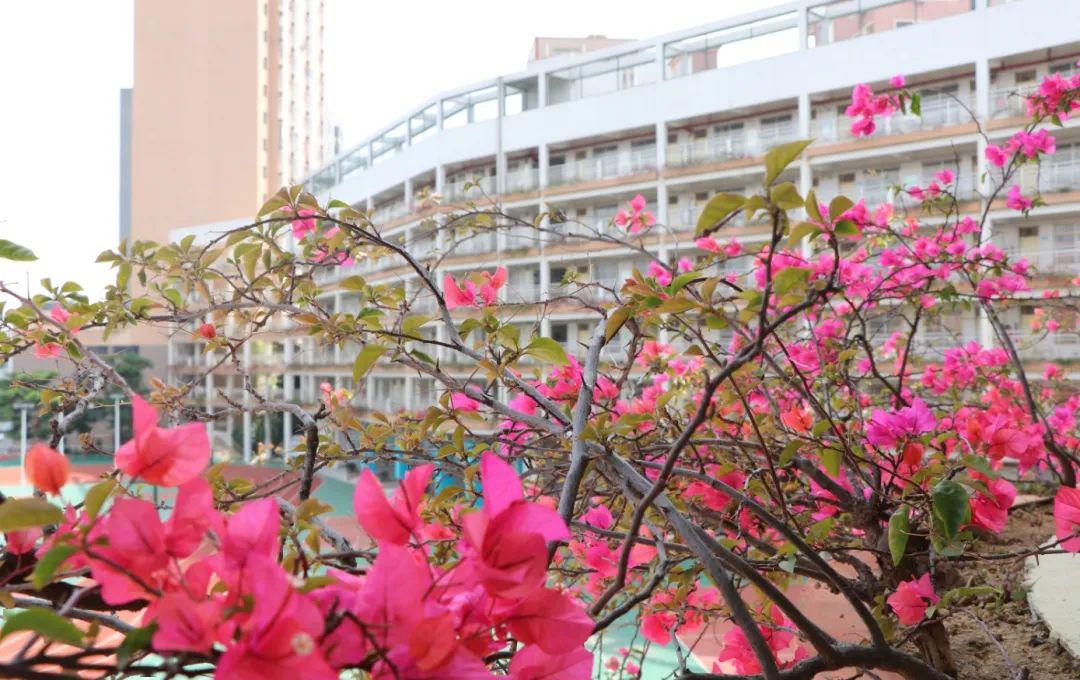 不负春光不负青春龙华区爱义学校2020年春季初三学生复学第一天纪实