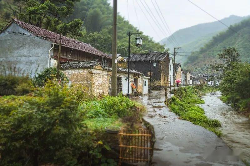 初夏走进嵊州市北漳镇彦坑村