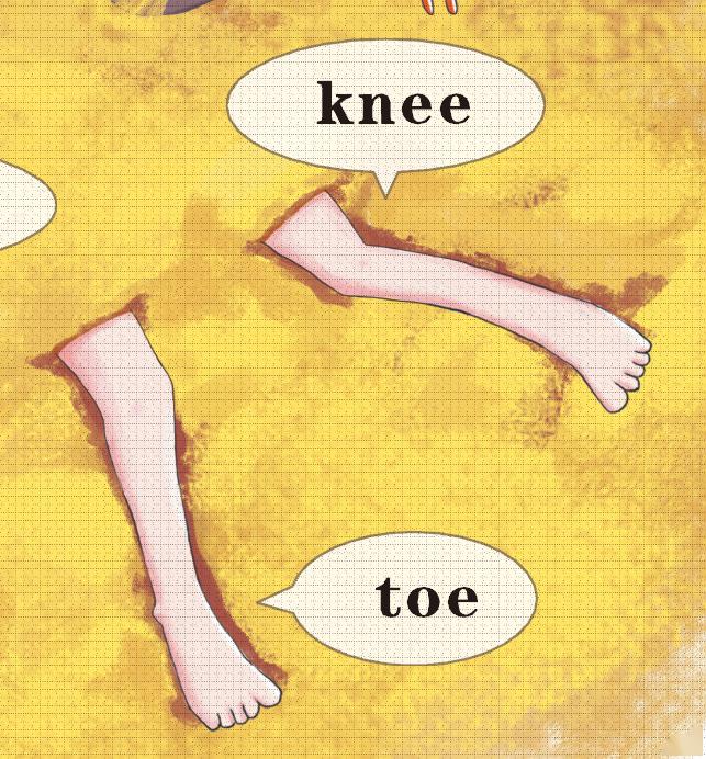 4月28日发现教育宝宝同步在线学习