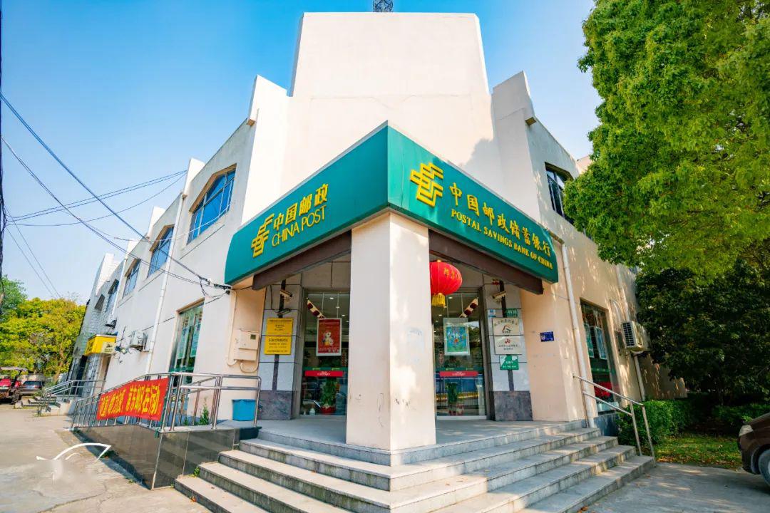 打卡临港新片区东海农场