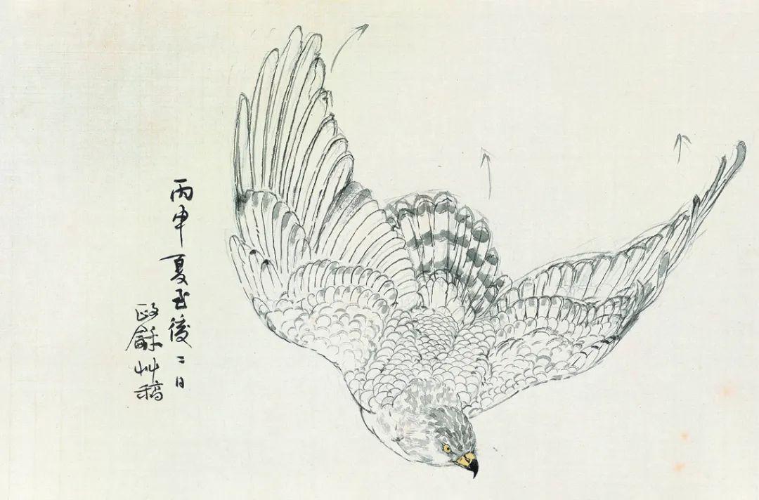 云看展 | 一幅画的诞生:方政和《秋风鸷禽图》