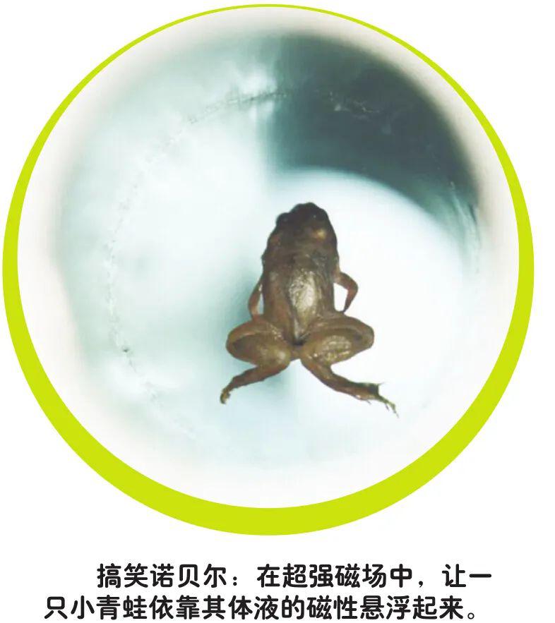 "小本经营"的物理学_安德烈·海姆