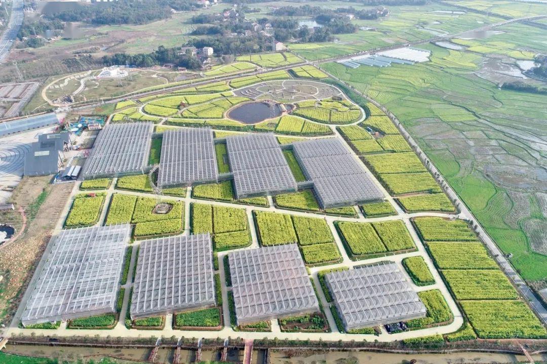 五一去哪玩益阳现代农业嘉年华九大亮点开启小长假欢乐之旅