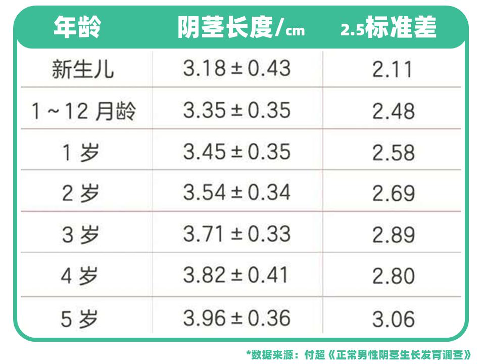 身高2米的男生JJ标准图片