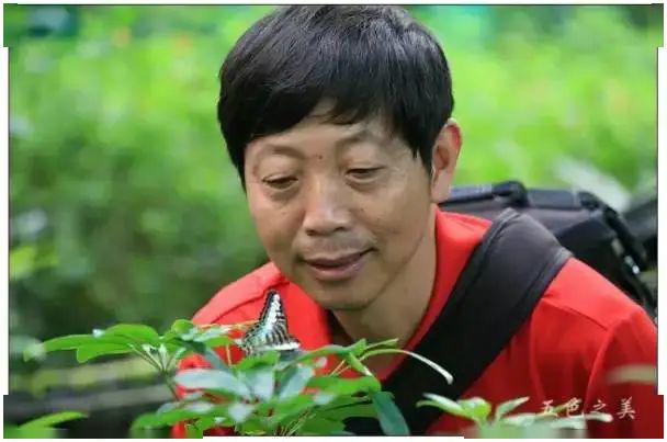 五一专场5月2号跟着蝴蝶老师探寻虎凤蝶