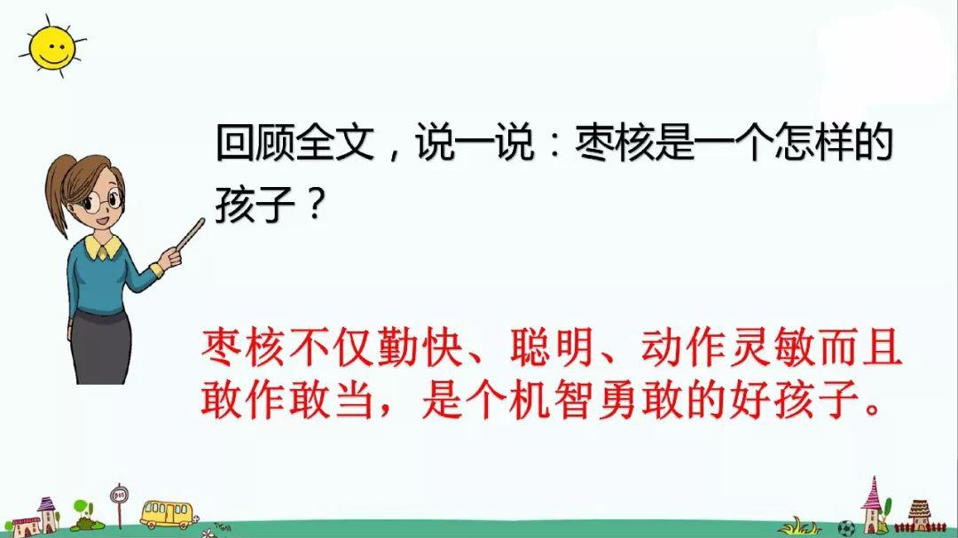 送!部编语文三年级下册课文八单元28课《枣核》图文解读 教学视频