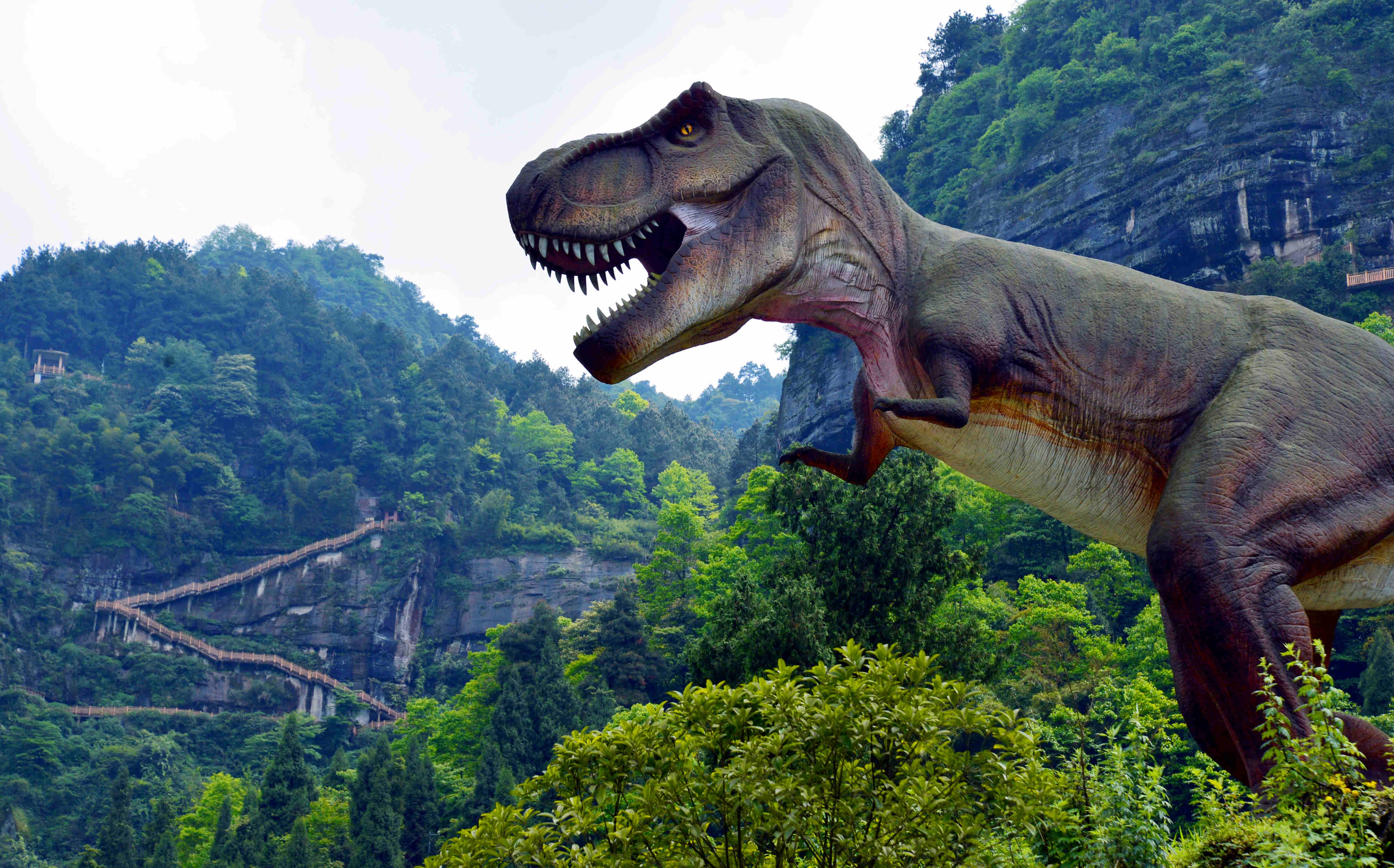 重庆綦江国家地质公园老瀛山位于綦江以东,距离重庆主城65公里.