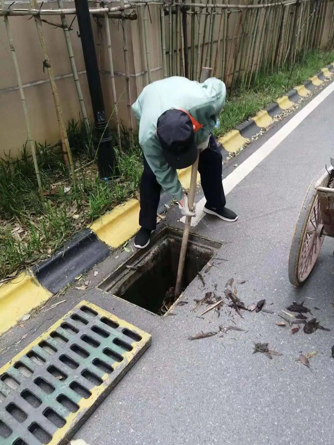 人文我们雨水井换装金刚纱网让百合路面干爽一如既往
