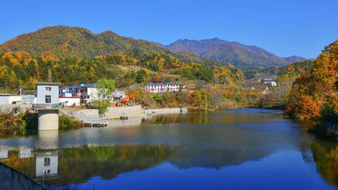 五一倾情推荐柞水旅游十大品牌之十大美丽乡村