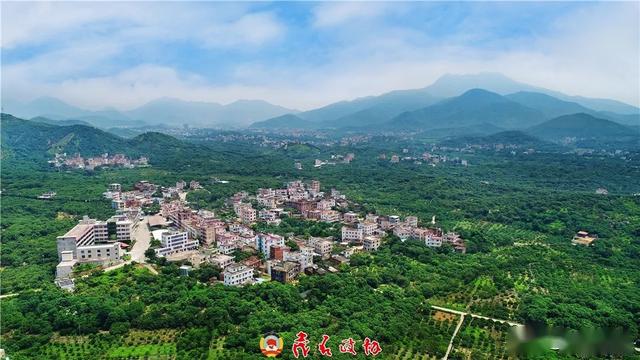 柏橋村 嶺南最古老荔枝園_貢園