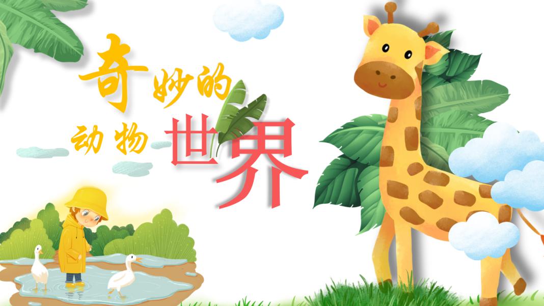 亚桥幼儿园丨走进奇妙的动物世界