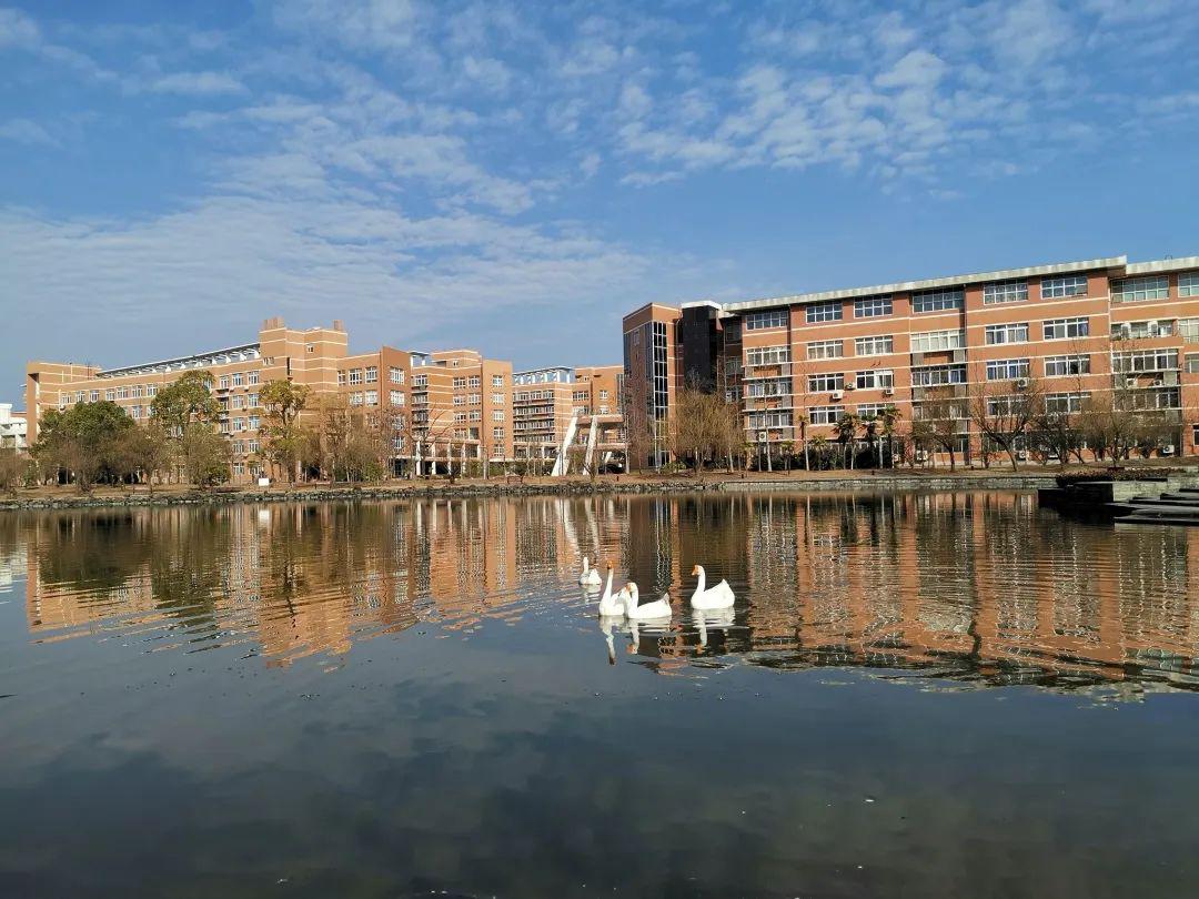 解锁记忆的密码我们一起重回量大