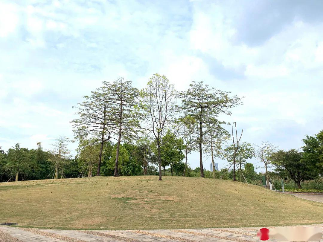 廣州這5個寶藏公園,人少又免費,還能輕鬆凹大片!