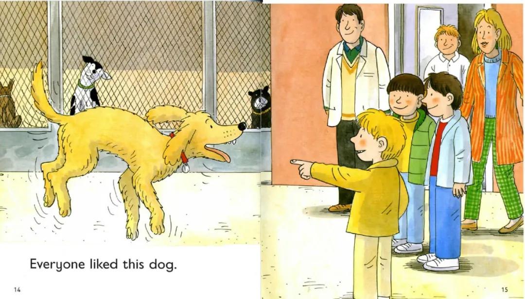 伴读| 牛津树【2-21】a new dog