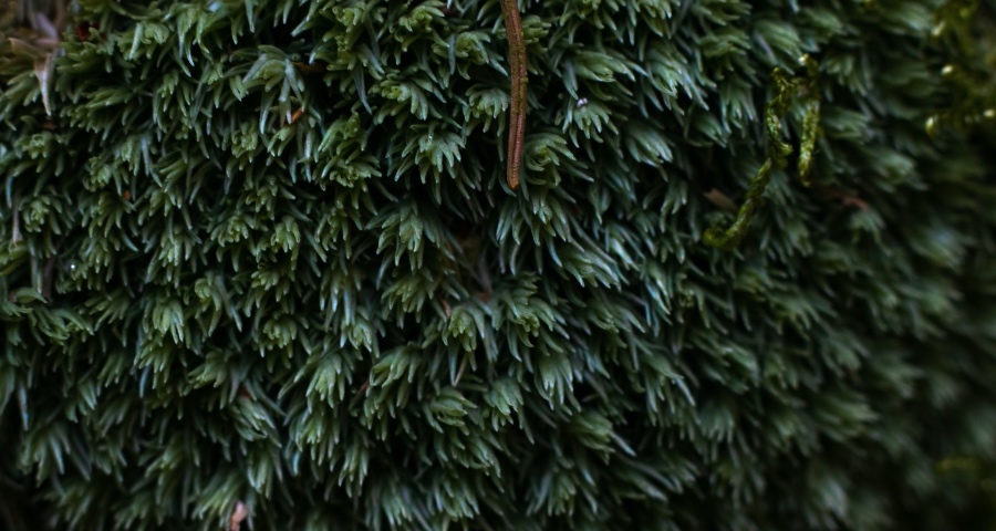 不少家电企业今年犯了一个错误:搞乱市场、带偏节奏、误导消费-家电圈官网