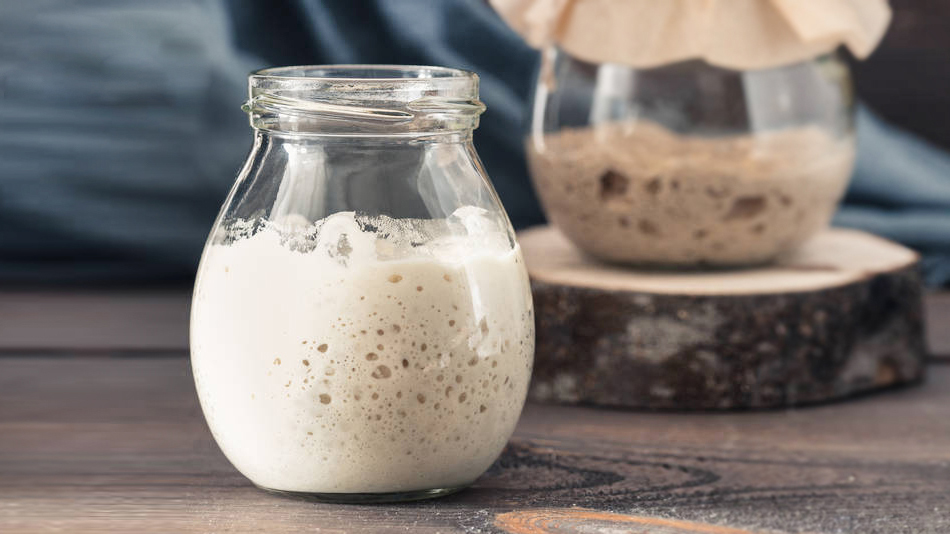 我们所了解到的面包类食品,通常都是选用市面上销售酵母发酵加工而成