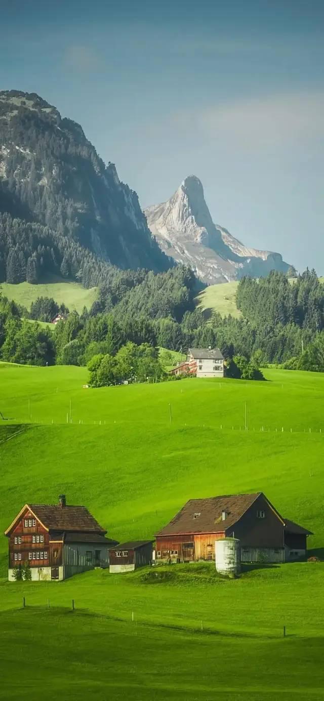 壁纸你该换张手机壁纸啦30张