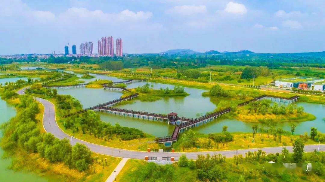 雲水灣公園花香早已瀰漫船塘花海五月也會與眾不同最美人間四月天或者