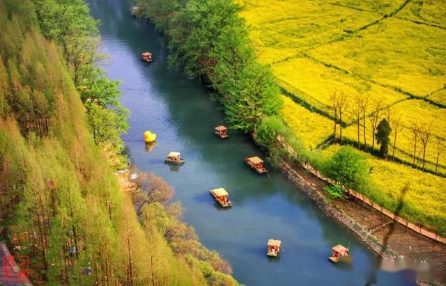 元墩龍灣景區是漢中勉縣油菜花海的一處最佳觀景點.