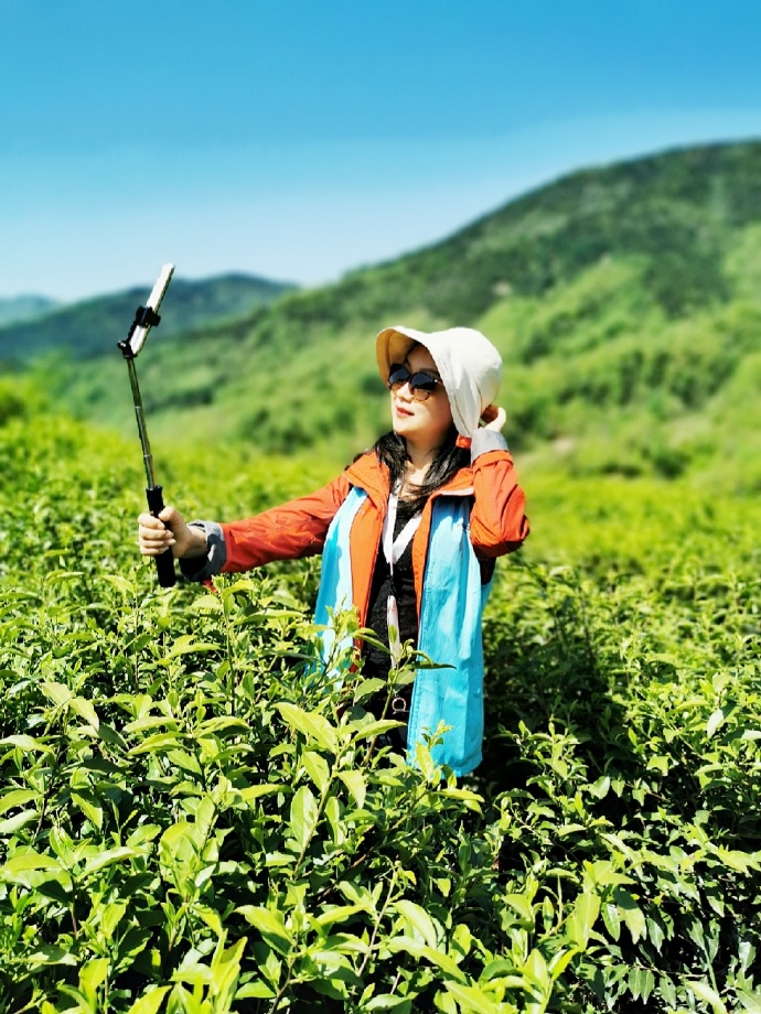 丰源茶业公司观云山位于陕西省汉中市镇巴县观音镇丰源农场内,海拔