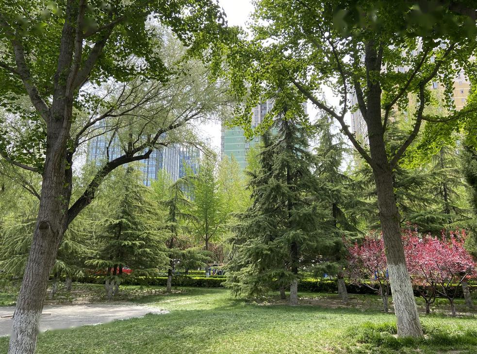 天气这么好健身遛弯不可少丰台区嘉河公园转转去免费哦