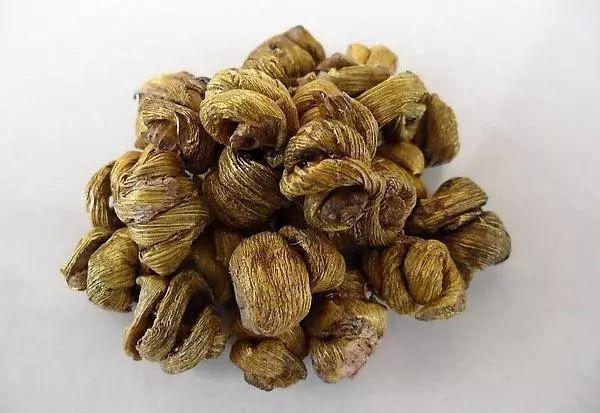 如何区分铁皮紫皮水草杂交枫斗