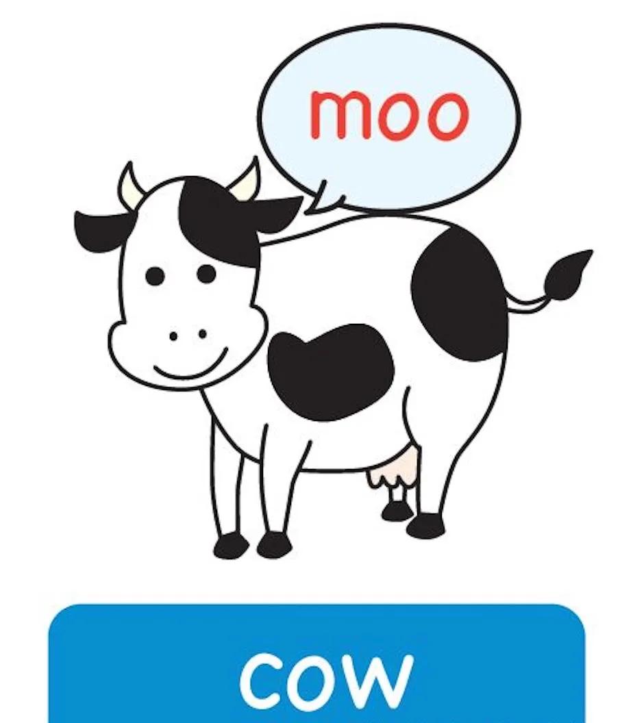 二,第二步是做好文字和文字的鏈接,比如讀到the cow says 