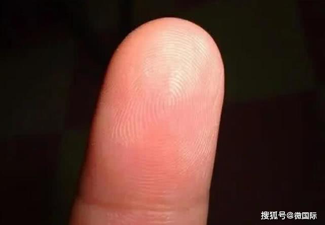 另外斗纹就是指内部花纹中心有一根以上的环形线,螺形线或曲形线,其