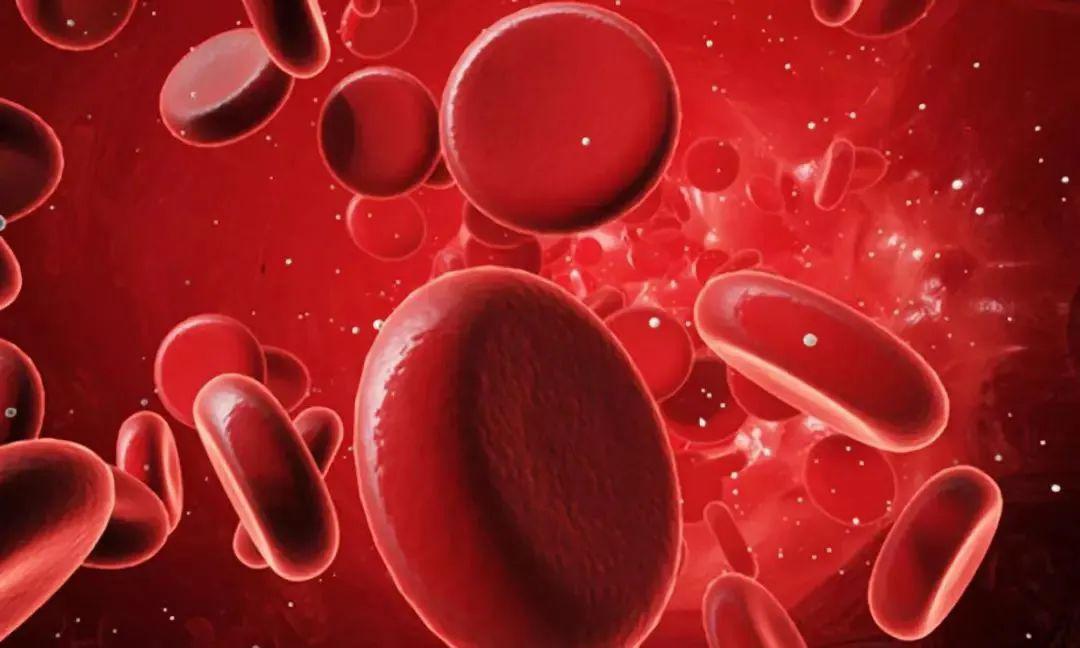 血液瘀堵,疾病不断!活血化瘀,帮你解决健康隐患