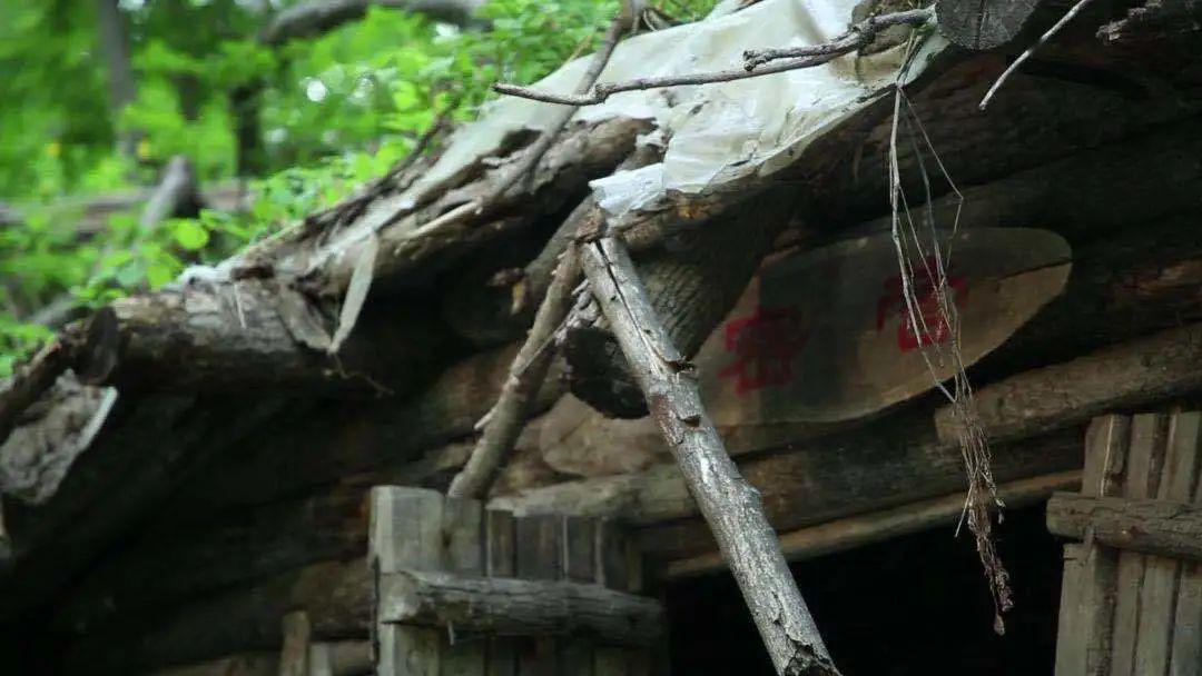 红石林业局所管辖的森林面积地跨桦甸市东部和靖宇县北部,这里山高林