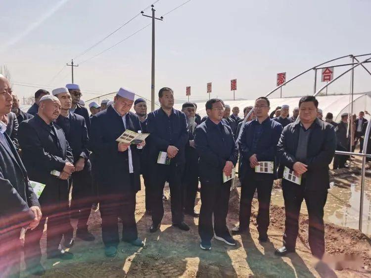 康乐县大力调整种植结构巩固脱贫攻坚成果