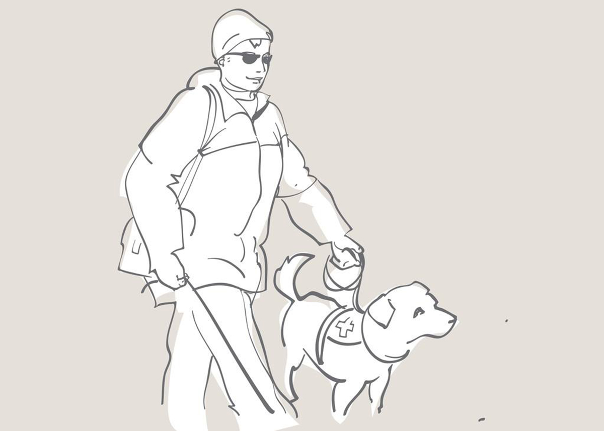 导盲犬坐公交被拒委屈被骂哭聊聊关于导盲犬我们应该知道的事