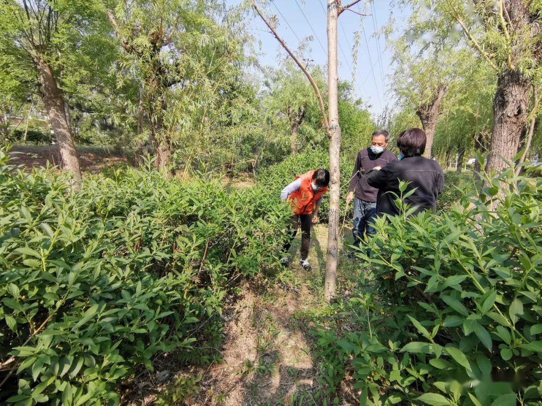 入户宣传实地踏查顺义区全面推进禁种铲毒工作