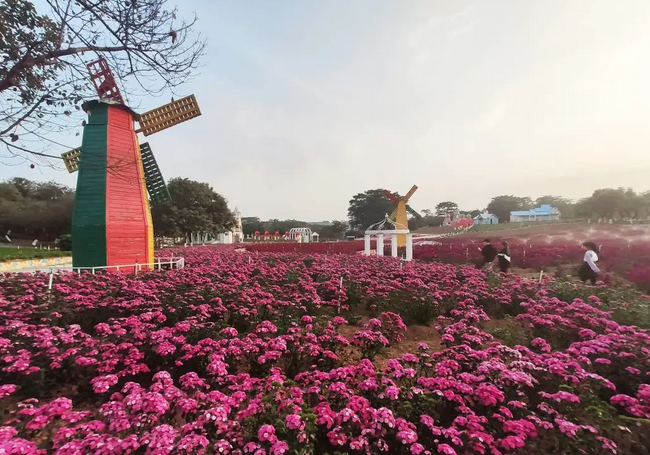 2020东莞松山湖梦幻百花洲百花节,门票在线预约