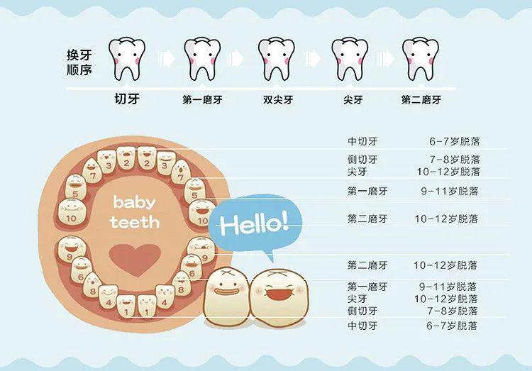 来看看你家宝宝长到哪颗牙齿了: 一般情况下,儿童换牙是按照牙齿上下